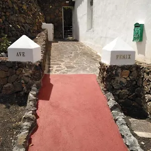 centro-ave-fenix.in-canary-islands.com/
